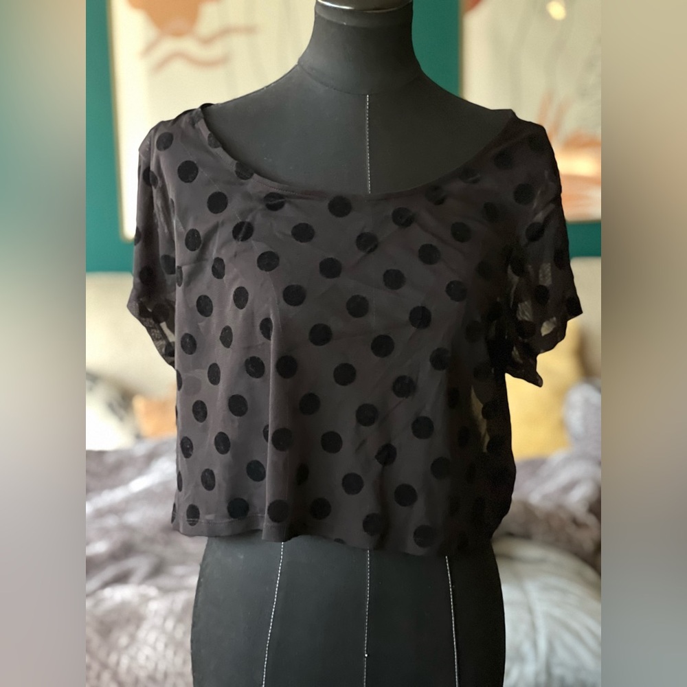 Express Black Sheer Polka Dot Crop Top – Size Large